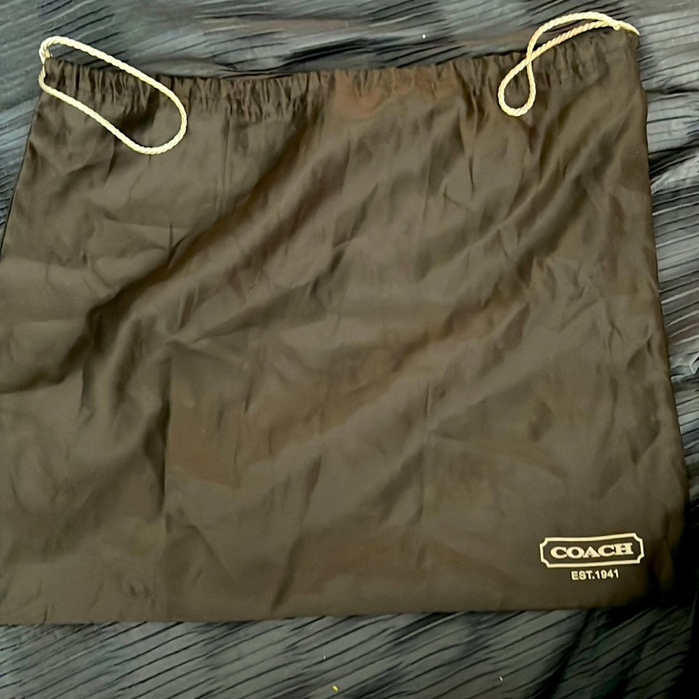 Coach shoes tote bag